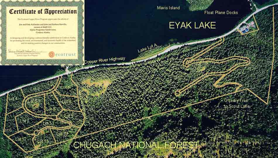 Arial View of Total 180 A Alpine Properties Development