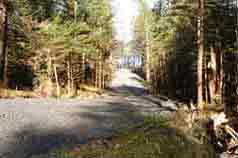 Driveway to Lot #3 with Eyak Lake in background
