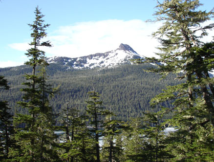 Picture of Mt. Eyak and Eyak Lake from Lot 4