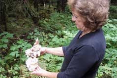 Angel Wing Mushrooms are delicious!