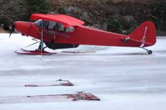 Fly in during the winter