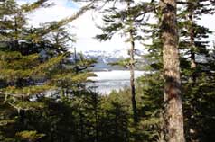 View from Lot # 7