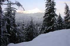 View from Lot # 8