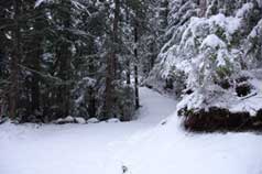 Driveway to Lot # 2 during winter