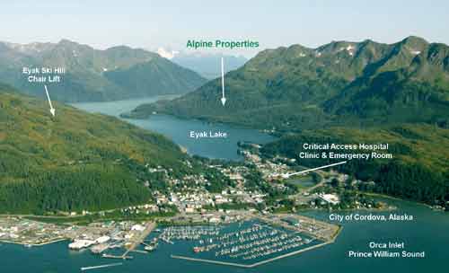 Aerial View of Cordova Alaska with Harbor and City