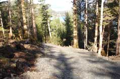 Driveway to Parcel #4 Custom Home Lot