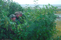 Duck hunters in the blind - great fun!