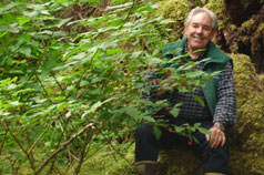 Salmon berries - smiliar to red raspberries